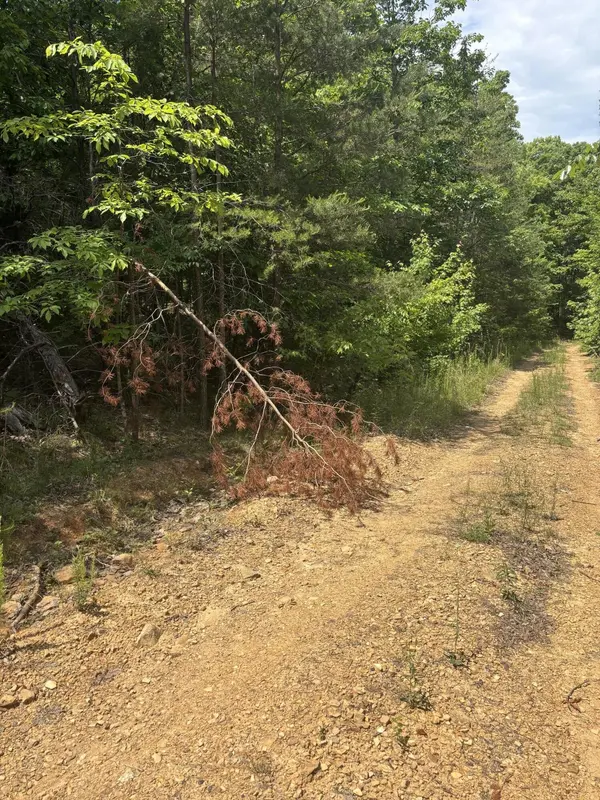 0 Sawmill Creek Rd, Dunlap, TN 37327