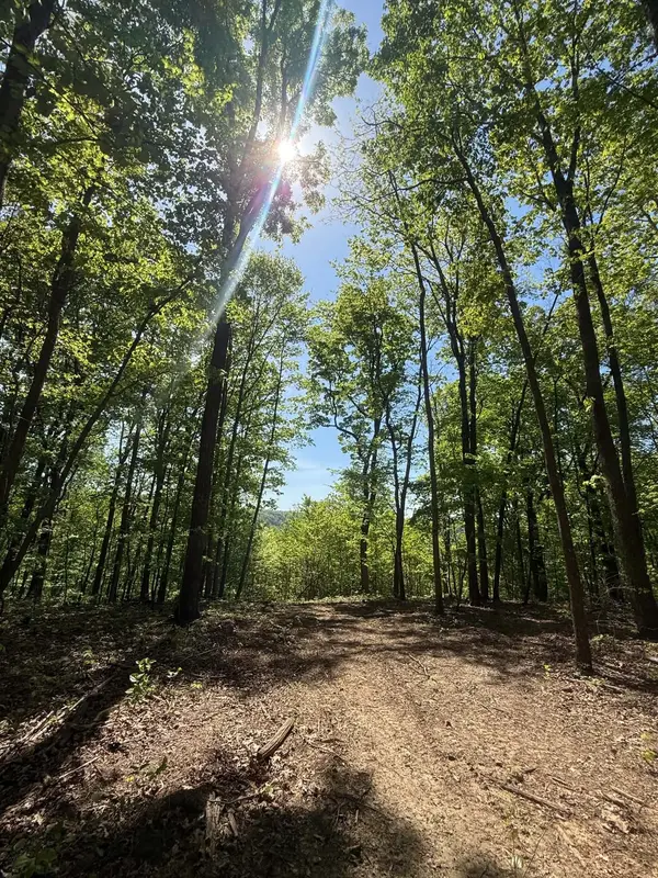0 Laurel Lake Dr, Monteagle, TN 37356