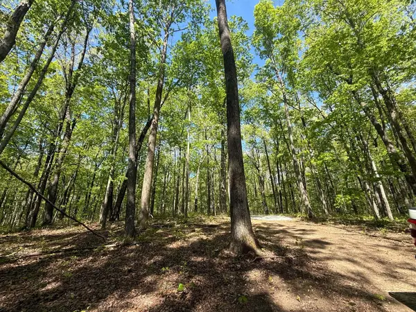 0 Laurel Lake Dr, Monteagle, TN 37356