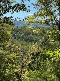 61 Chestnut Valley Road, Vonore, TN 37885