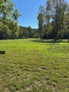 61 Chestnut Valley Road, Vonore, TN 37885