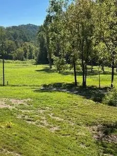 61 Chestnut Valley Road, Vonore, TN 37885
