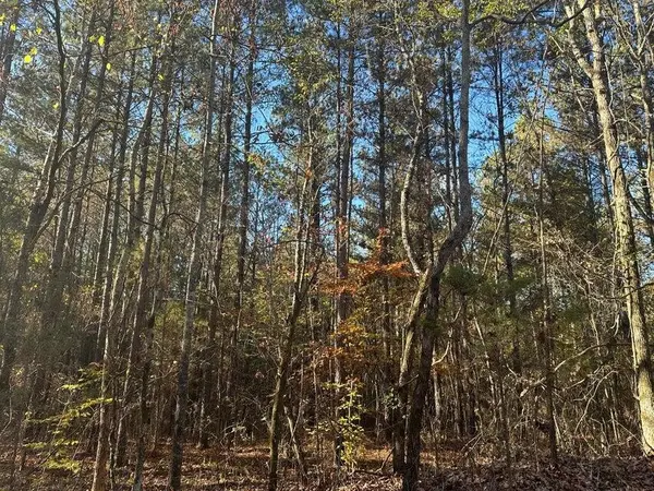 0 Mt Carmel Road, Decatur, TN 37322