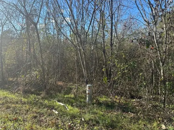 0 Mt Carmel Road, Decatur, TN 37322