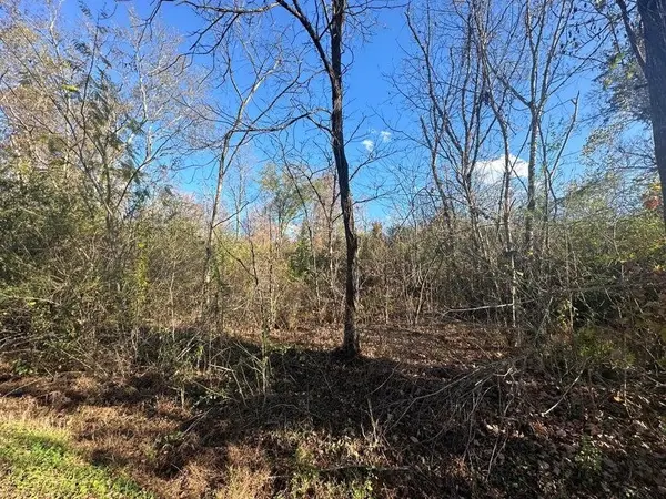 0 Mt Carmel Road, Decatur, TN 37322