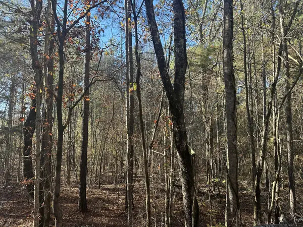 0 Redman Lane, Decatur, TN 37322