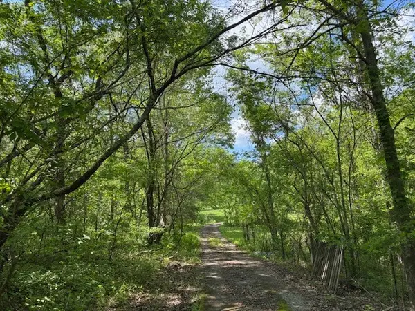 2517 Patton Hollow Rd, Watertown, TN 37184