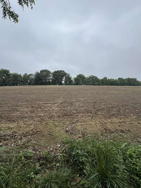 325 Harts Mill Rd, Atwood, TN 38220