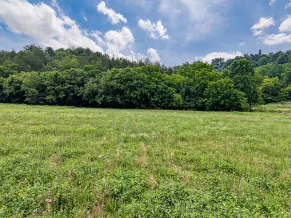 386 Cathcart, Frankewing, TN 38459