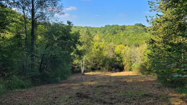48 Hannah Br Rd, Petersburg, TN 37144