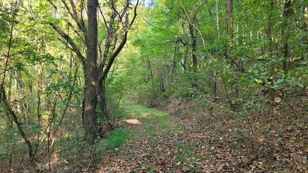 48 Hannah Br Rd, Petersburg, TN 37144