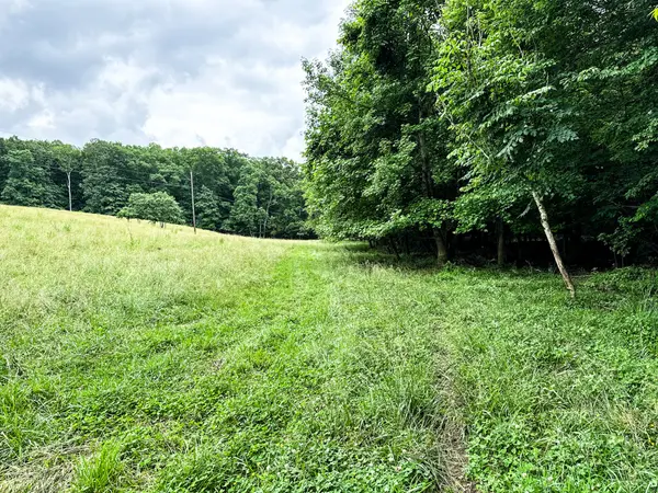 0 David Patterson Rd, Lutts, TN 38471