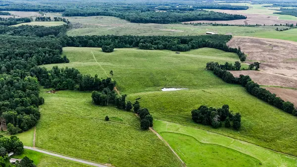 0 David Patterson Rd, Lutts, TN 38471