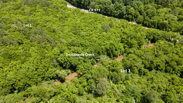 3 State Highway 163, Calhoun, TN 37309