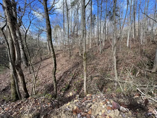0 Smyrna Road, Evensville, TN 37332
