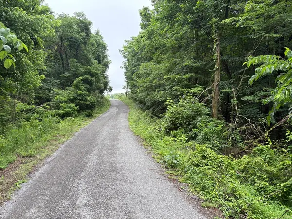 0 Ivy Hollow Rd, Mount Pleasant, TN 38474