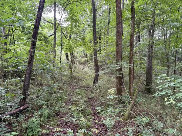 0 Ivy Hollow Rd, Mount Pleasant, TN 38474