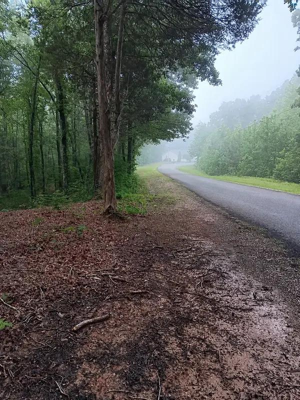 0 logger lane, Cedar Grove, TN 38321