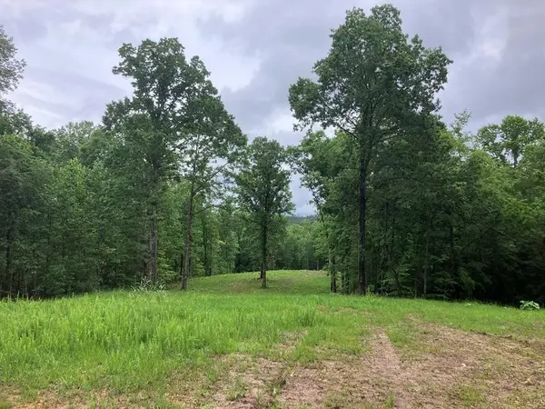 213 Wynn Ferry Rd, Big Sandy, TN 38221