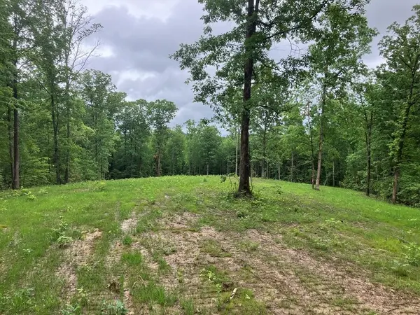 213 Wynn Ferry Rd, Big Sandy, TN 38221