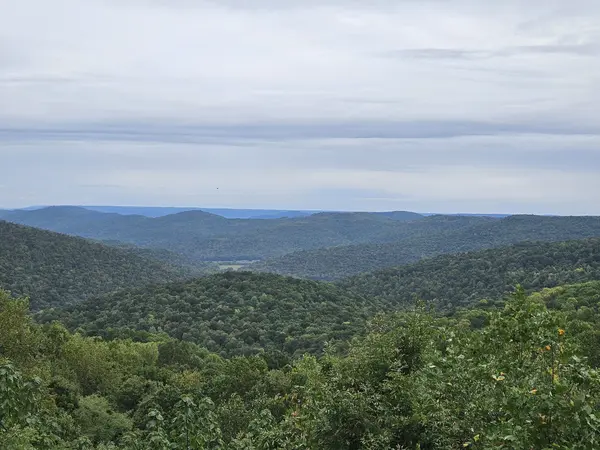 0 Gap Rd, Altamont, TN 37301