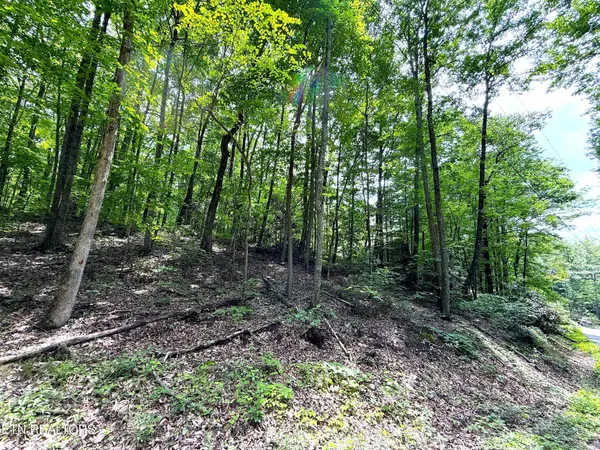 0 Swann Saddle, Sevierville, TN 37876