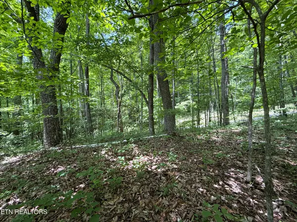 0 Swann Saddle, Sevierville, TN 37876