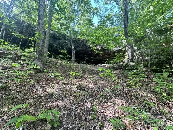 0 Bear Knob Ln, Crawford, TN 38554