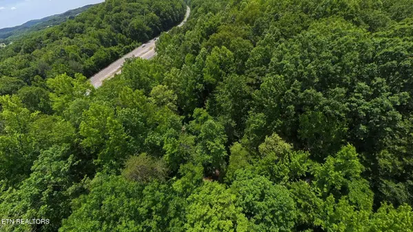 195 Sherwood Lane, Harriman, TN 37748