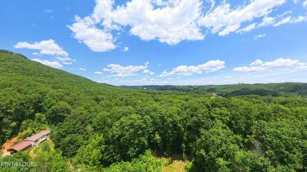 195 Sherwood Lane, Harriman, TN 37748
