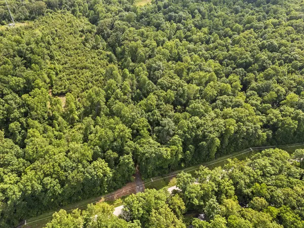 0 Crow Cut Rd, Fairview, TN 37062