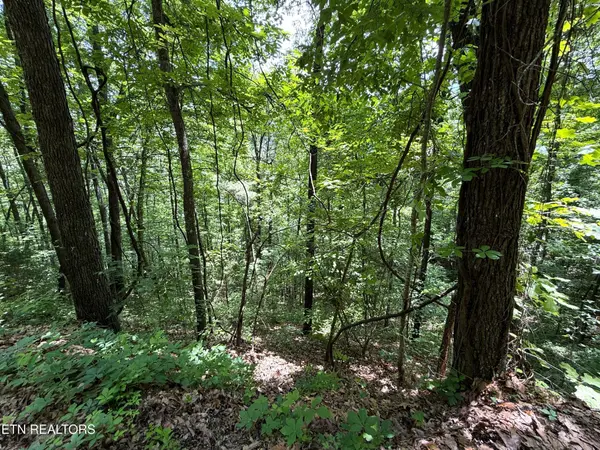 0 Aintree Drive, Sevierville, TN 37876