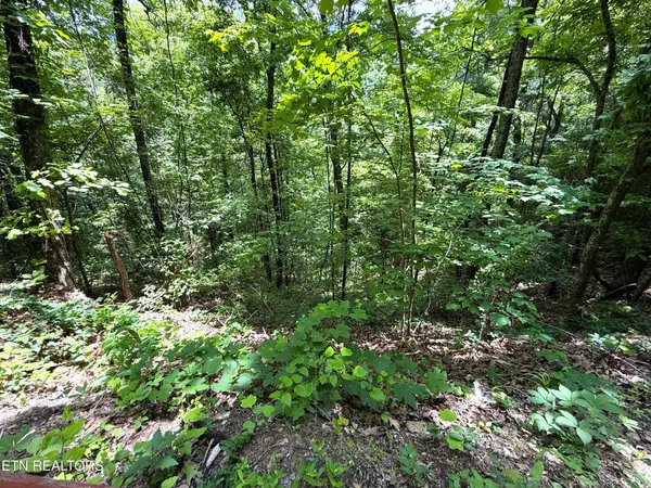 0 Aintree Drive, Sevierville, TN 37876