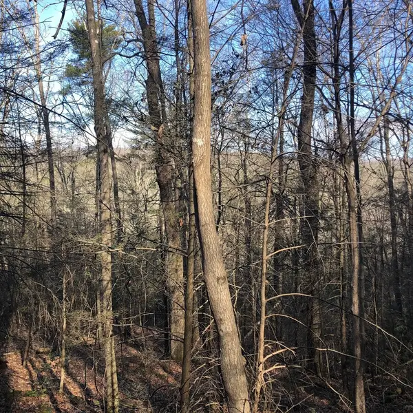 450 Holder Cemetery Road, Tellico Plains, TN 37385