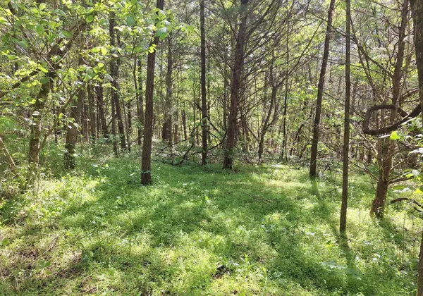 0 Payne Road, Tellico Plains, TN 37385