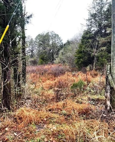 0 Reagan Valley Road, Madisonville, TN 37354