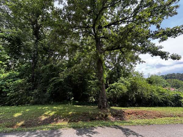 0 Kendall Avenue, Bridgeport, AL 35740