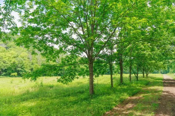 582 Cedar Bend Rd, Beechgrove, TN 37018