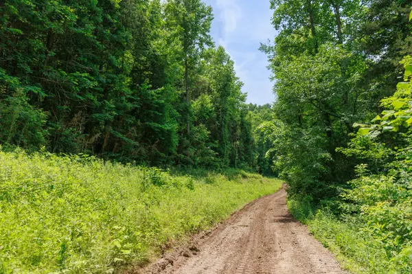 582 Cedar Bend Rd, Beechgrove, TN 37018