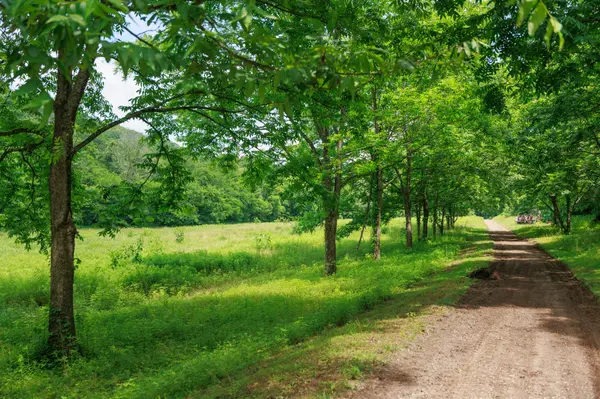 582 Cedar Bend Rd, Beechgrove, TN 37018