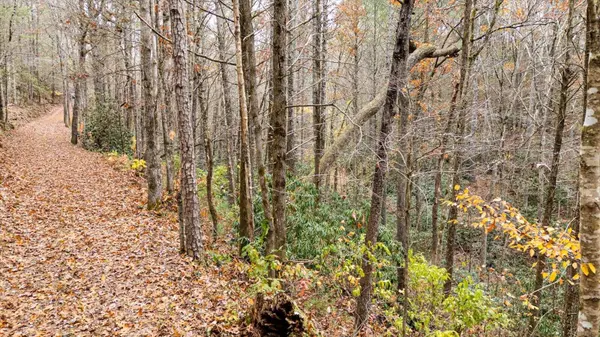 138 Bowater Road, Tellico Plains, TN 37385
