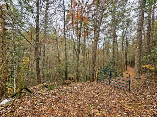 138 Bowater Road, Tellico Plains, TN 37385