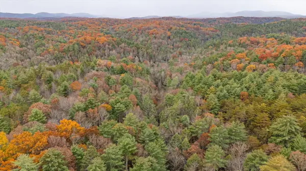 138 Bowater Road, Tellico Plains, TN 37385