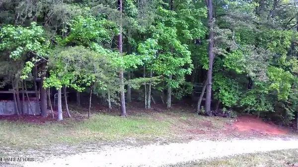 188 Dalton Branch Rd, Tellico Plains, TN 37385
