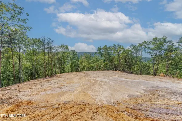 1200 Steer Creek Rd, Tellico Plains, TN 37385