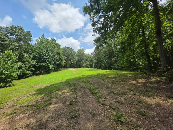 0 Baggett Hollow, Cunningham, TN 37052