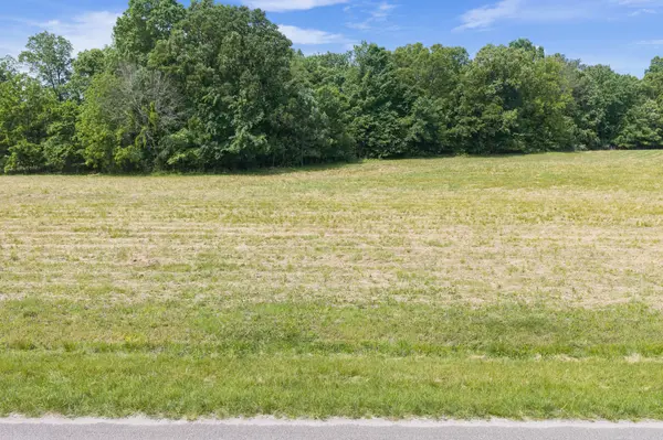 0 Mann Rd, Hollow Rock, TN 38342