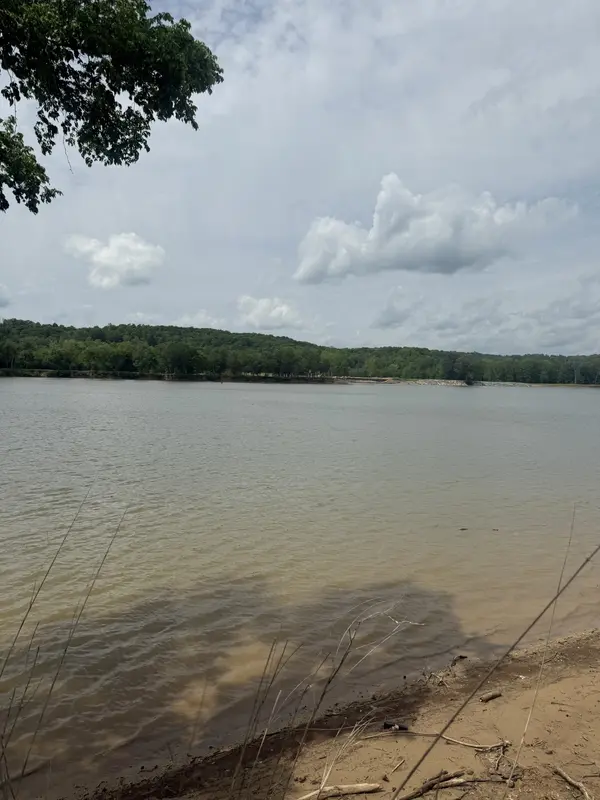167 Hardin Bottom River Rd, Clifton, TN 38425