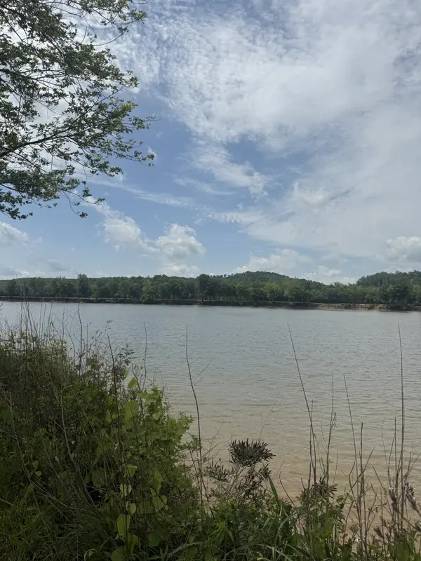 167 Hardin Bottom River Rd, Clifton, TN 38425