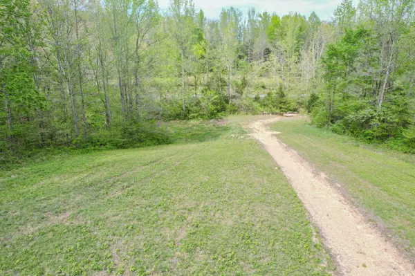 0 Puncheon Branch, Minor Hill, TN 38473
